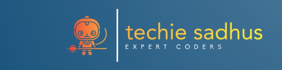 Techie Sadhus — Expert Coders banner